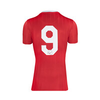 Romario gesigneerd PSV shirt 1988-89 - SHOWCASE®