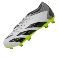 Icons Kaka gesigneerde voetbalschoen