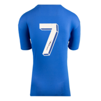 Icons Paolo Maldini gesigneerd Italië t-shirt