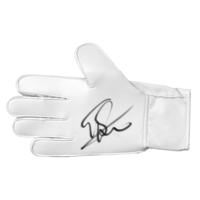 Icons Edwin van der Sar gesigneerde keepershandschoen