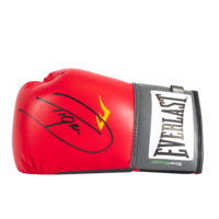 Icons Dariusz Michalczewski gesigneerde bokshandschoen