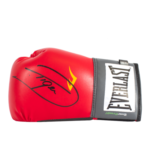 Icons Dariusz Michalczewski gesigneerde bokshandschoen