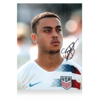 Icons Sergino Dest gesigneerde Verenigde Staten foto