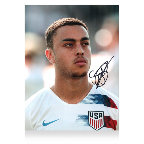 Icons Sergino Dest gesigneerde Verenigde Staten foto