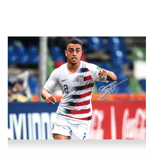 Icons Sergino Dest gesigneerde Verenigde Staten foto