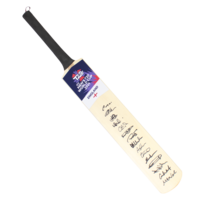 Icons Team gesigneerde Engeland cricket bat 2021