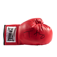Icons Tyson Fury gesigneerde bokshandschoen