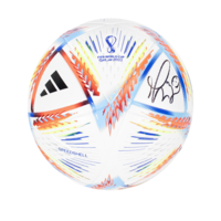 Icons Marco Materazzi gesigneerde voetbal