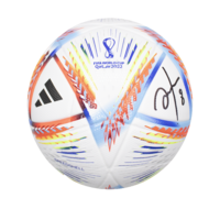 Icons Hristo Stoichkov gesigneerde voetbal