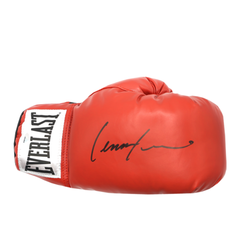 Icons Lennox Lewis gesigneerde bokshandschoen