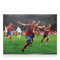 Icons David Villa gesigneerde Spanje foto