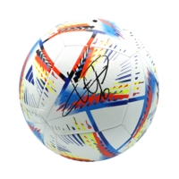 Icons Wesley Sneijder gesigneerde voetbal 2022