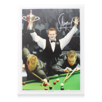 Icons Shaun Murphy gesigneerde Montage foto