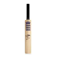 Icons Ian Botham gesigneerd Engeland mini cricket bat