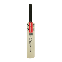 Icons David Gower gesigneerd memorabilia