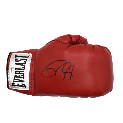 Icons Roy Jones Jr gesigneerde bokshandschoen