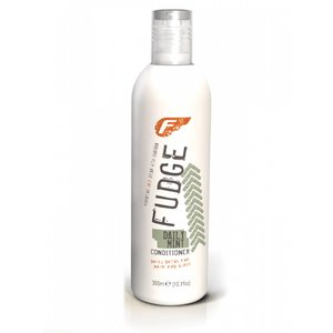 Fudge Daily Mint Conditioner 300 ml