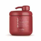 Joico Color Endure Treatment Mask