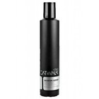 Tigi Catwalk Session Series Work It Hairspray 300 ml