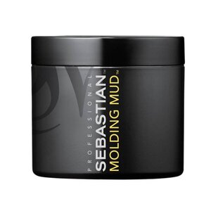 Sebastian Molding Mud 75g