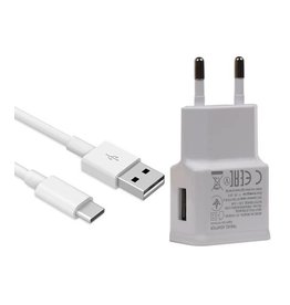 Type C Universal Rejselader 2.4 En Hvid + USB Kabel
