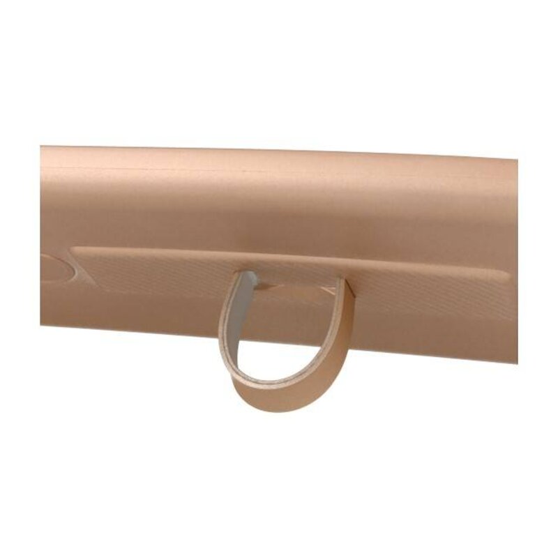 Custodia in carbonio serie Samsung Galaxy S9 Gold