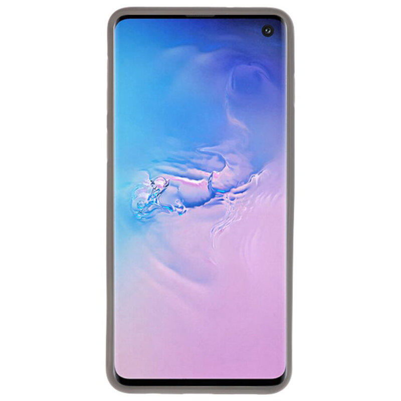 Fokus gennemsigtige hårde etuier til Samsung Galaxy S10 Grey
