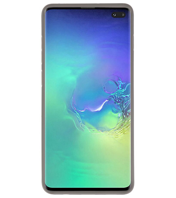 Focus Transparent Hard Cases für Samsung Galaxy S10 Plus Grau