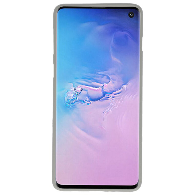 Coque en TPU couleur pour Samsung Galaxy S10 gris