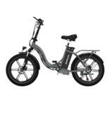 KOOLUX Bicicleta eléctrica KOOLUX - E-bike plegable - 250W - 45-90 KM - BK6S 4.0 - Plateada