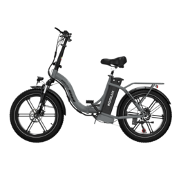 KOOLUX Electric bike - Folding E-bike - BK6S 4.0 - Silver