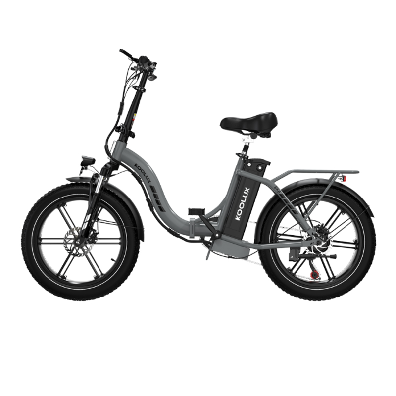 Bicicletta elettrica KOOLUX - E-bike pieghevole - 250W - 45-90 KM - BK6S 4.0 - Argento