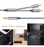 DTECH Cavo audio da 3,5 mm a 2RCA 1 m - DCH-2936 - Grigio