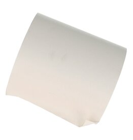 Kassenrolle 80x80x12 mm 75M