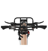 KOOLUX Bicicleta eléctrica KOOLUX - Bicicleta eléctrica plegable X16 - 250 W - 70-150 km - 48 V 15,6 Ah - Beige