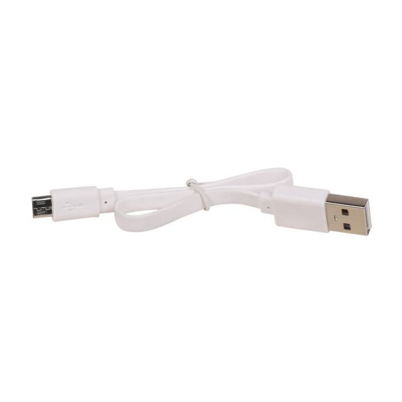 Banca di potere D810 con integrato d.brown iPhone cavo 10000mAh