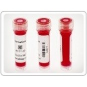 Labels for cryo vials 1-2ml