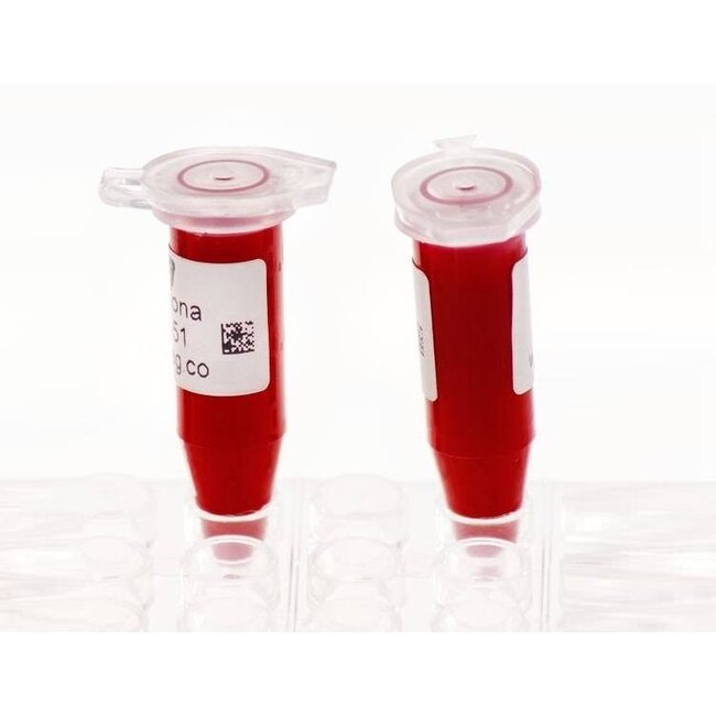 LabID™ Kryo Barcode Etiketten - 19,1 x 10,2mm / Thermotransfer