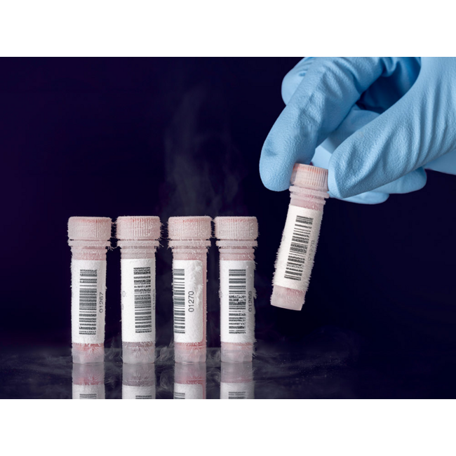 LabID™ Cryo Barcode Etiketten - 25,4 x 25,4mm / Thermotransfer