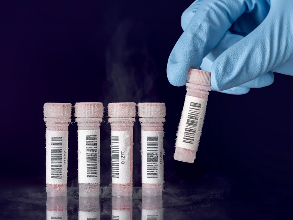 LabID™ Cryo Barcode Etiketten - 25,4 x 25,4mm / Thermotransfer
