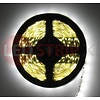 LEDStrip Helder Wit 5 Meter 60 LED per meter 12 Volt - Basic
