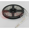 LEDStrip Helder Wit 5 Meter 60 LED per meter 12 Volt - Basic