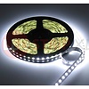 LEDStrip Koud Wit 1 Meter 120 LED per meter 12 Volt - Basic