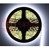 LEDStrip Koud Wit 1 Meter 120 LED per meter 12 Volt - Basic