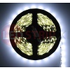 LEDStrip Koud Wit 5 Meter 60 LED per meter 12 Volt - Basic