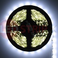 LEDStrip Koud Wit 5 Meter 60 LED per meter 24 Volt - Basic