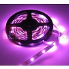 LEDStrip RGB 1 Meter 30 LED per meter 12 Volt