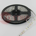 24V LED Strip Helder Wit 5 Meter 60 LED per meter  - Ultra