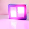 LED Kweeklamp Growlight 100W