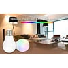 Milight / MiBoxer 6 Watt RGB + Warm Wit en Koud Wit E27 CCT Dual White Lamp